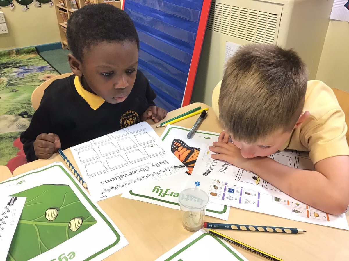 Stjohnscoventry's tweet photo. Reception have been very excited to meet some new friends! We have lots of baby caterpillars! We can’t wait to watch them grow! #iwillshine #learningandexploring https://t.co/kqkulCJ34z