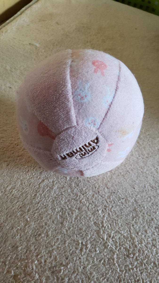 SNSとか見て
これで遊んでくれると
思って買い与えても
まったく遊んでくれない・・・・・
#うさぎの感じたこと