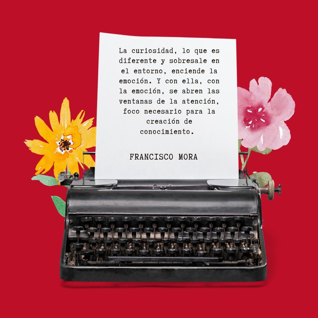 Cuando los alumnos están emocionados se conectan las neuronas de sus cerebros que facilitan el aprendizaje y prestan atención de forma natural. La alternancia entre rutina y variedad en el aula es clave para que los alumnos puedan sentirse seguros a la vez que emocionados.