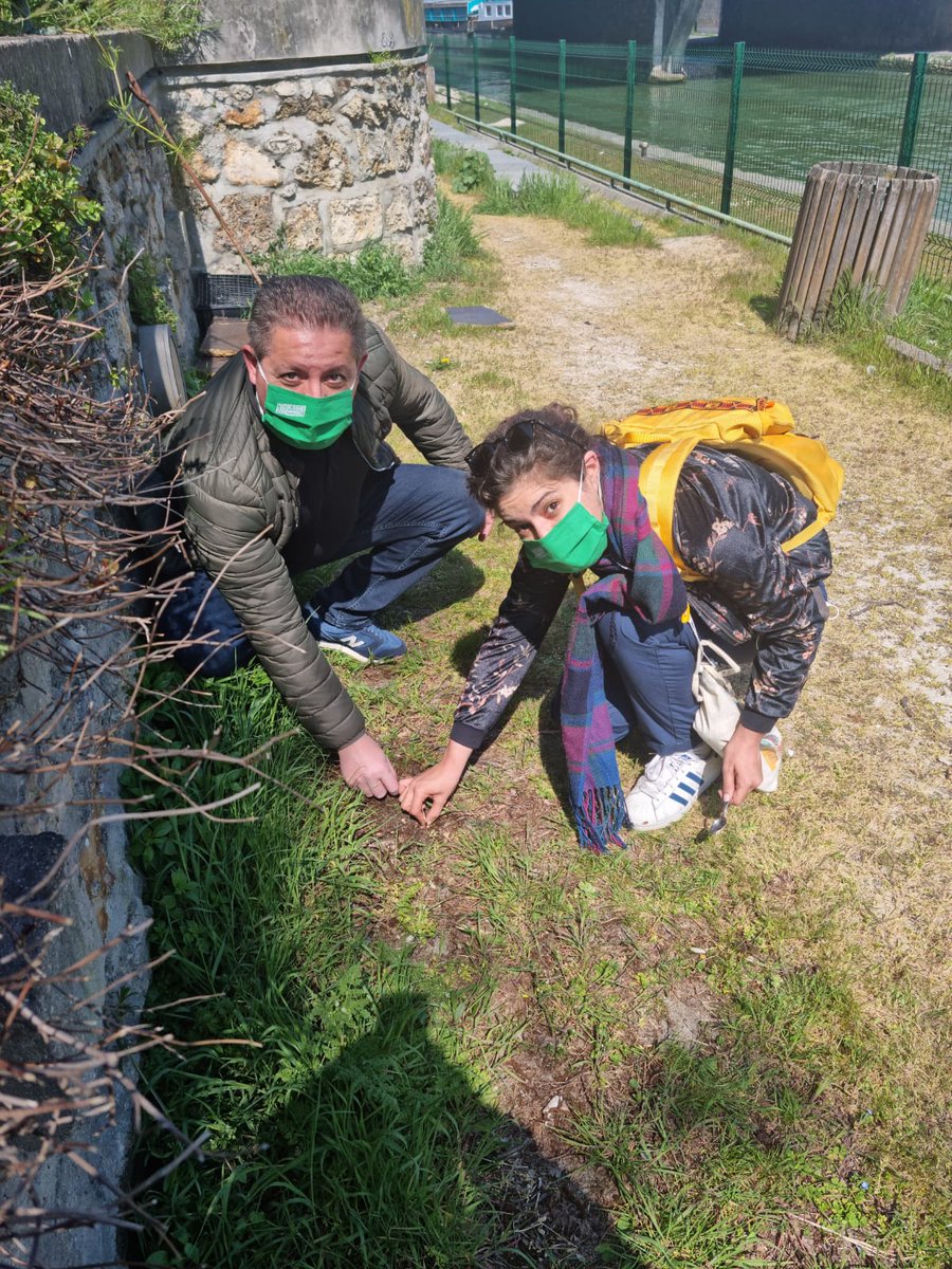 sorayahmechtouh's tweet photo. Aujourd'hui avec @KaderChibane93 nous avons apportés notre graine (ou plutôt notre bulbe) pour un environnement plus vert... Au sens propre cette fois ci 😄
⚘☘ On vous dira si ça pousse 

#IDFecologie #JourneeDeLaTerre2021 https://t.co/KeWzZEYNVa