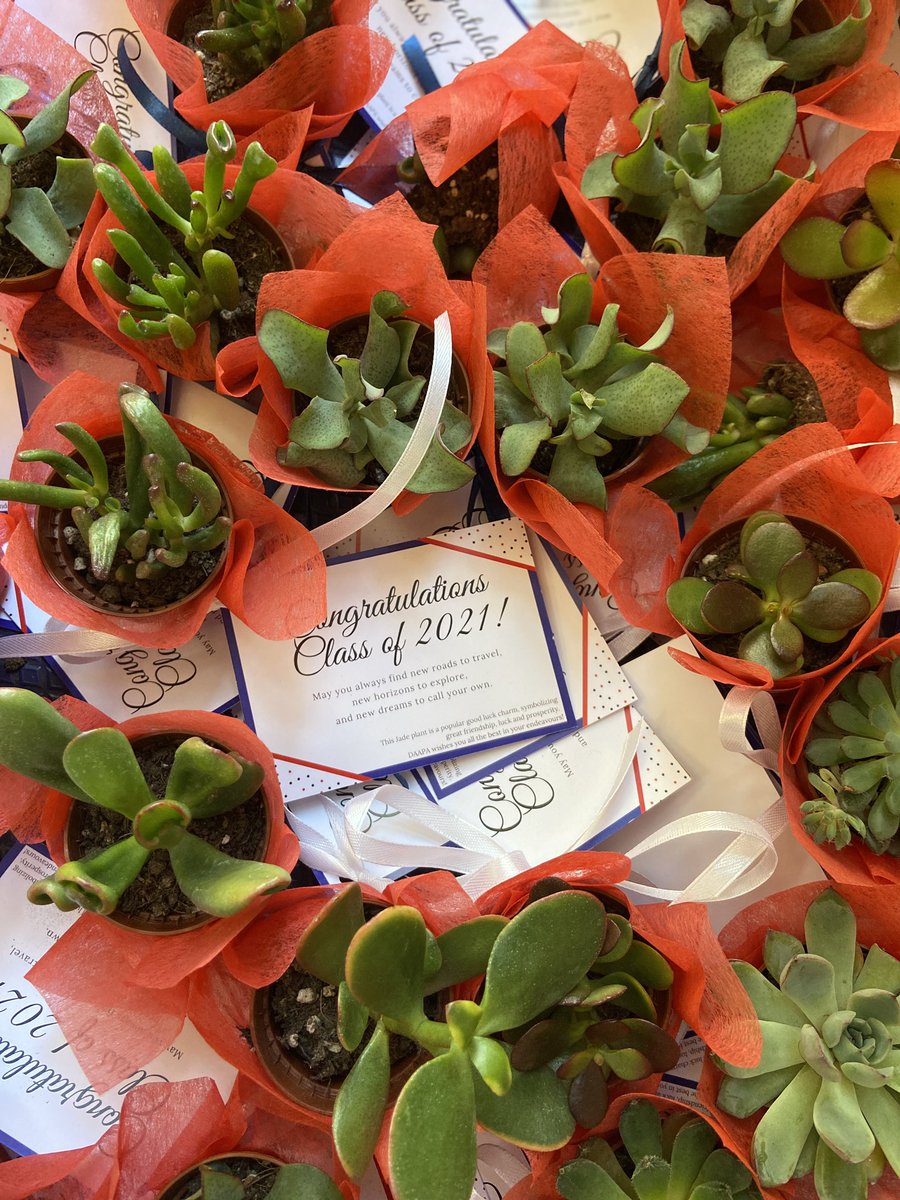 GEMS DAA tweet media