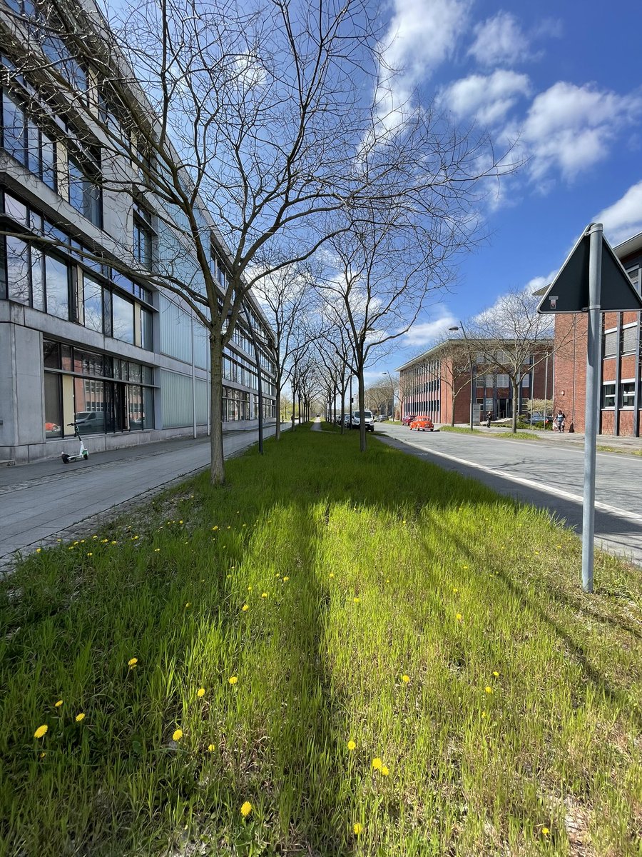 WalasWest's tweet photo. #spring auf #phoenixwest @WorldofWalas @gerben_walas @dirkvanderVen @maniladeiuliis https://t.co/0tDtLP0l9E
