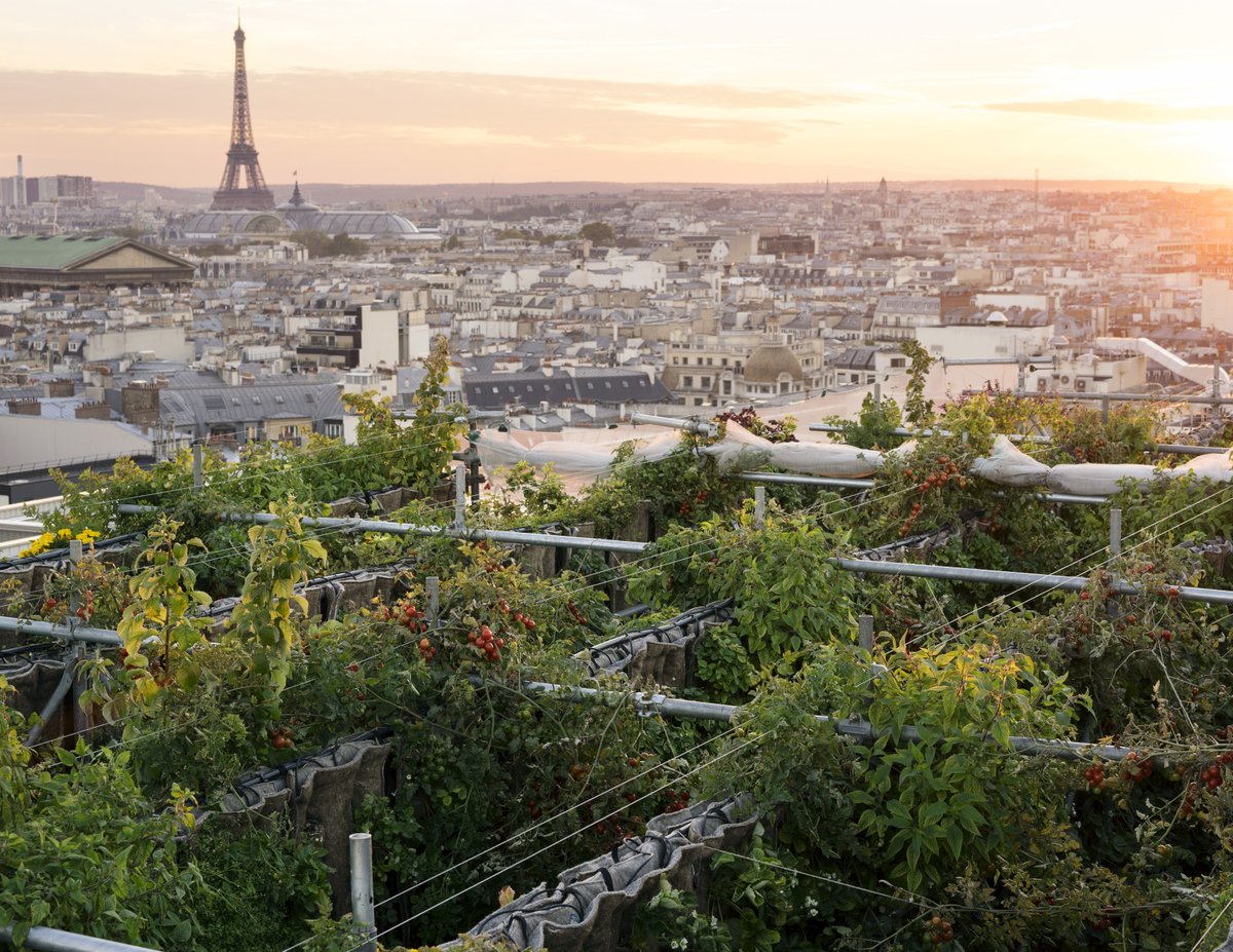 #EarthDay2021 Engagé dans une mode plus responsable grâce à son label #GoforGood, le Groupe <a href="/Galeries_Laf/">Groupe Galeries Lafayette</a>  continue de cultiver la nature en ville grâce à ses Jardins perchés, situés sur les toits des Galeries Lafayette Haussmann et <a href="/leBHVmarais/">LE BHV MARAIS</a>, ainsi qu'à Annecy. 1/2