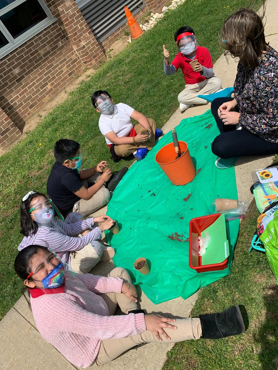 Room 413 is excited to watch our sunflowers grow this spring!  
We’ll be sure to keep you posted!