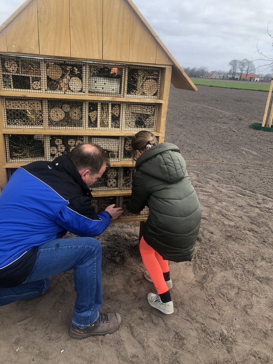 Ben_Blokhuis's tweet photo. Vanmorgen insectenhotel op ‘t Spikkert in #Weerselo ingericht met de kinderen van de #Aloysiusschool.
Hotel gemaakt door @Noaberkracht kamers gevuld door de kinderen. Perceel bij hotel ingezaaid met bloemenmengsel met begeleiding van #degroeneloper @DinkellandInfo #EarthDay2021 https://t.co/TP4faZfaLl