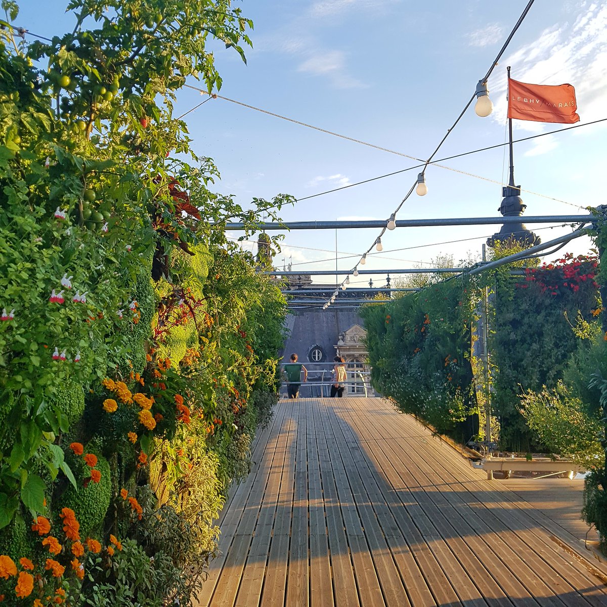 A la fois refuge urbain pour la faune et les insectes pollinisateurs et véritable outil pédagogique, ces jardins opérés par la start-up partenaire <a href="/SousLesFraises/">Sous les fraises</a>  permettent également de proposer une alimentation plus saine et durable, produite en circuit court. 2/2