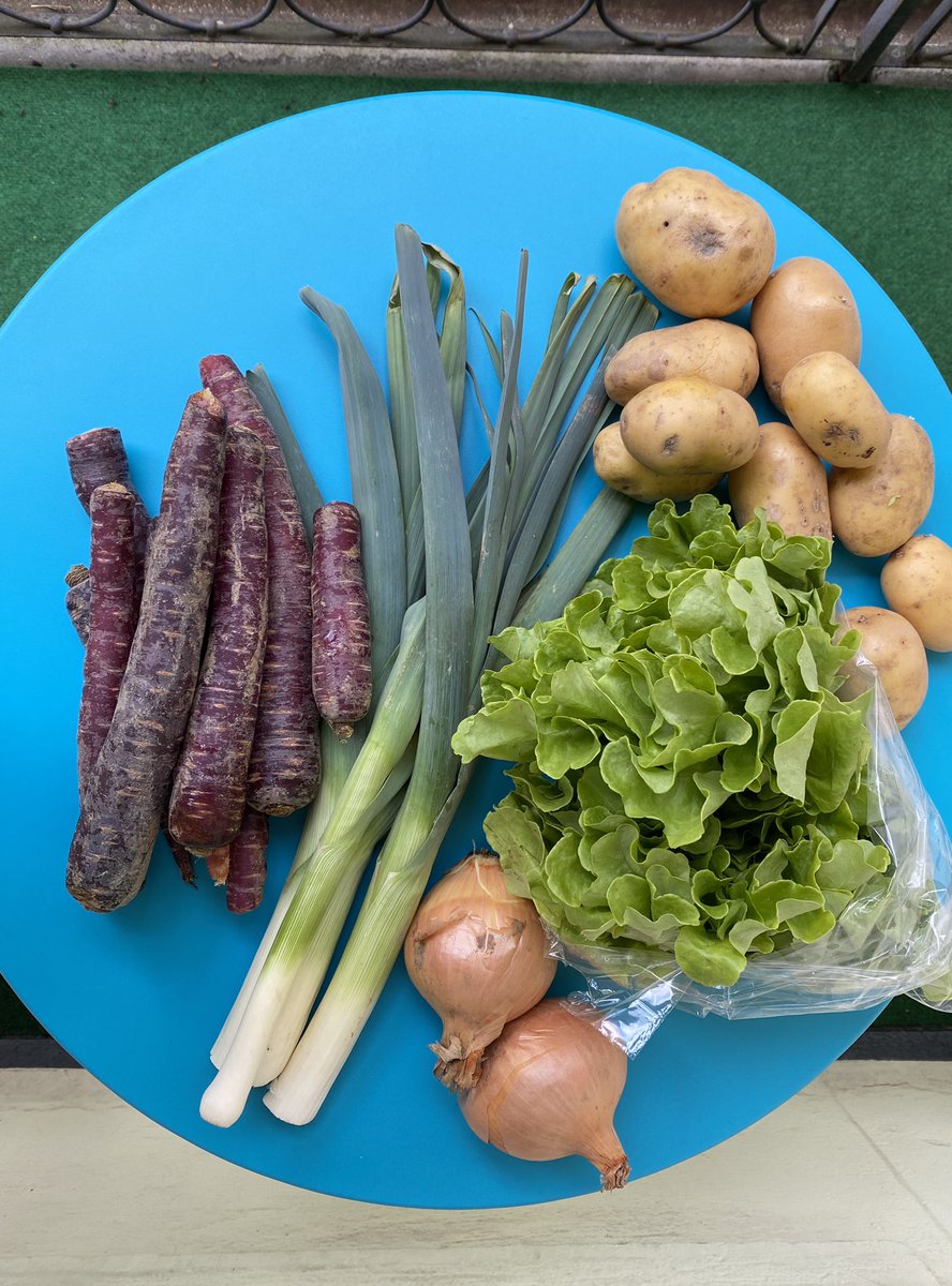 🌾À #Bienne, le printemps est aussi dans l’assiette! 🥕🥬🥔🧅 #légumesbio #légumesdesaison #proximité #Seeland <a href="/La_Ruche_Bienne/">La Ruche Bienne</a> #brunnereichhof