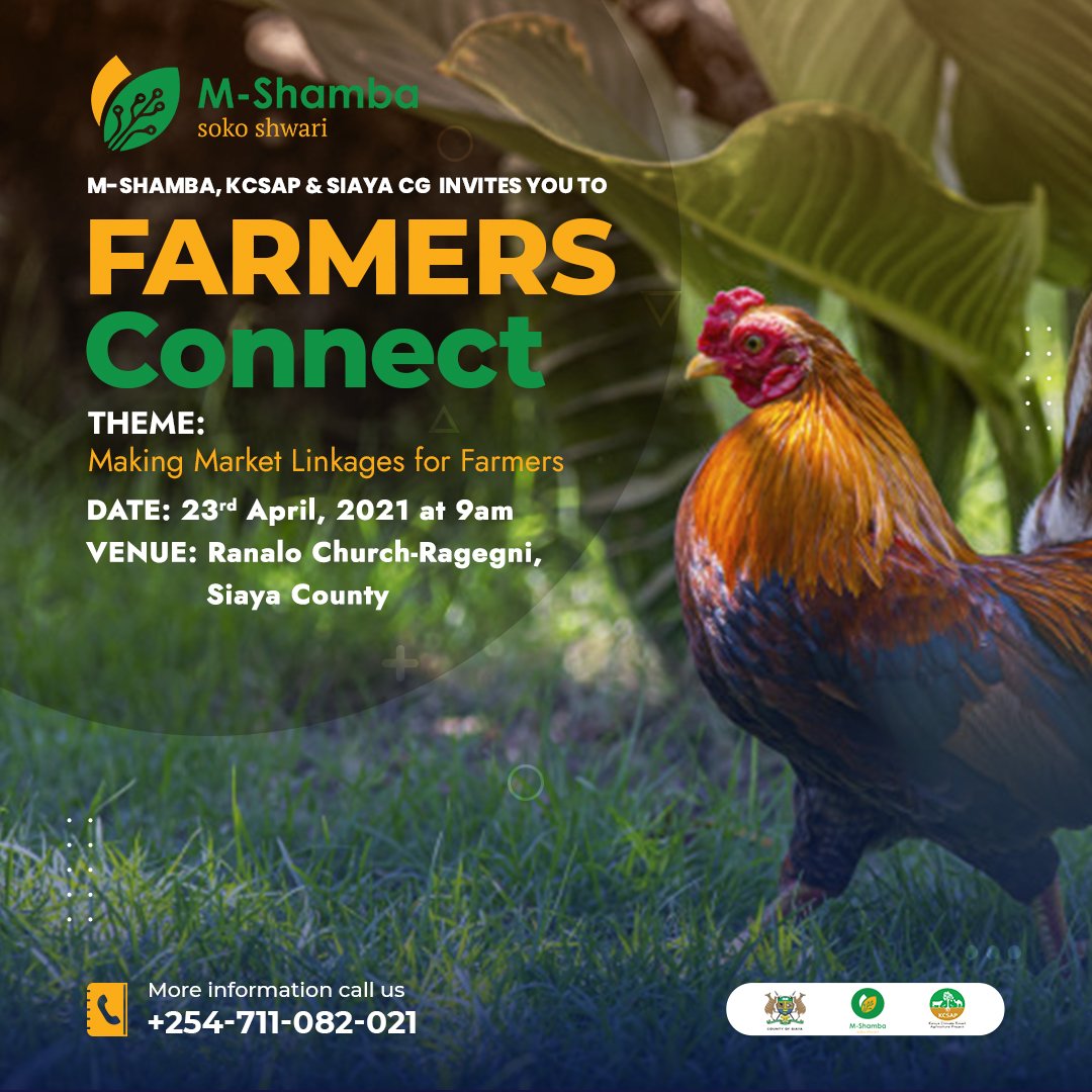 M-shamba App tweet media