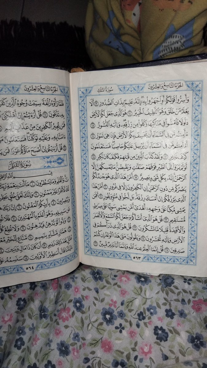 Elfa Malik tweet media