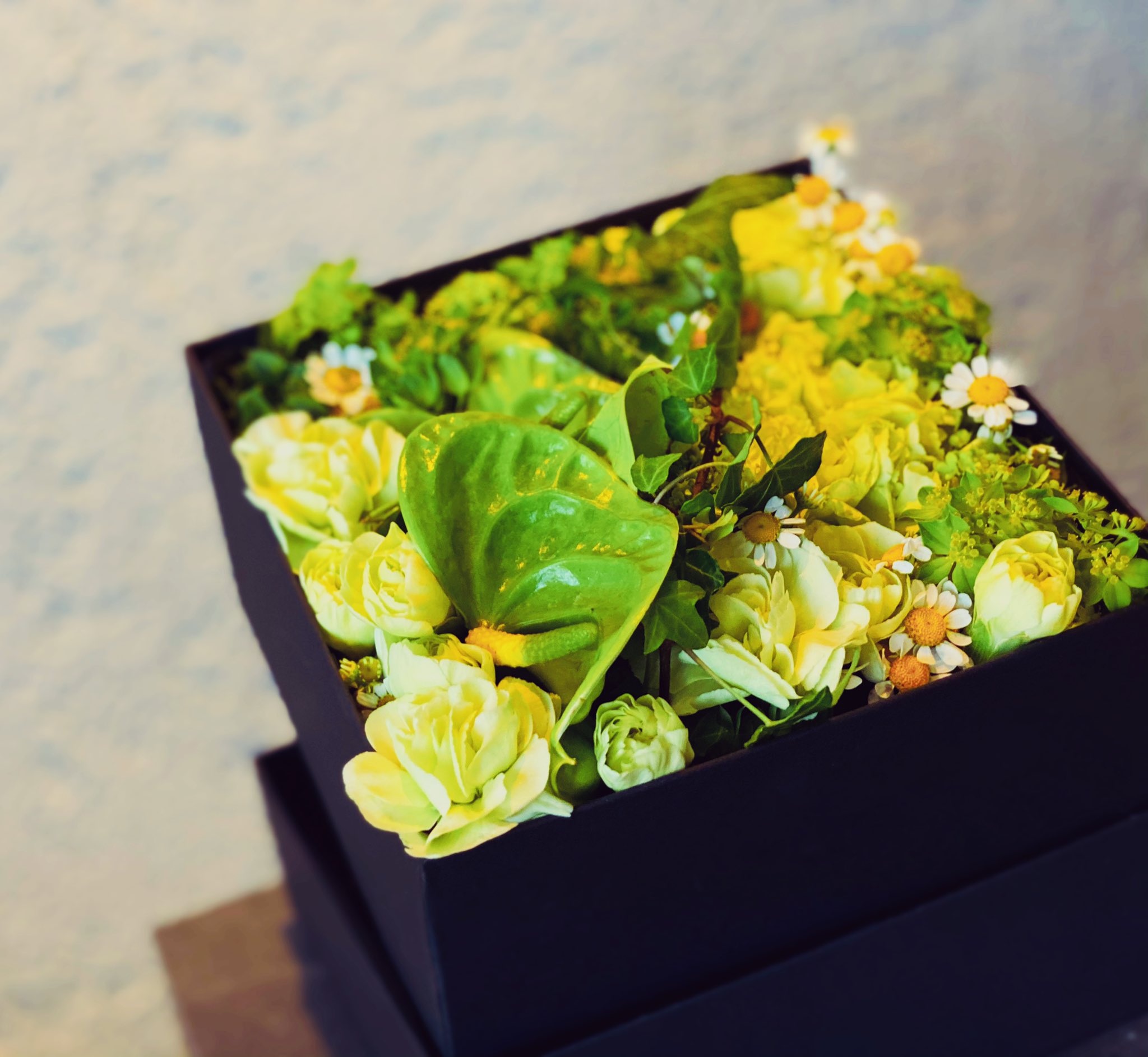 宮内孝之 花飾人 華道家 魔法の箱 フタを開けて 視覚 嗅覚 脳がプラス思考に 花の妖精達で幸運 スタイリッシュフラワー T Co Bvzp7ei3hp 華道家 花空間装飾 開運 花のある暮し 花風水 花のある生活 宮内流花風水 母の日 花 花