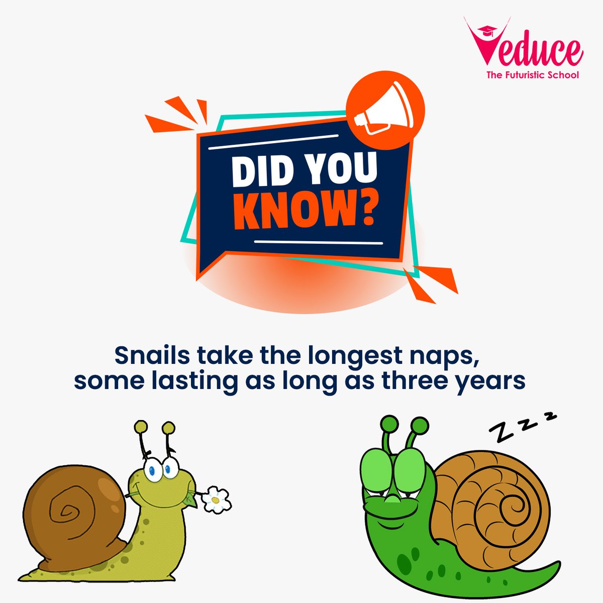veduceapp's tweet photo. #didyouknow this #amazing #fact
#snails take the #longest #naps 
They can #sleep for up to #three #years 
#learn #daily #something #new #with @veduce_learns @official_veduce_quiz #EarthDay2021 #CovidIndia #WhoFailedIndia #मोदी_भाषण_रोको_आक्सीजन_नहीं #edtech #environment https://t.co/sEtDi3JAsS