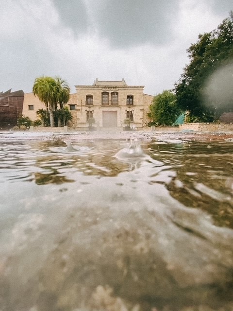Así estamos en <a href="/BodegasFG/">Bodegas Francisco Gómez</a> 
#LaSerrata #Villena
<a href="/costablancaorg/">Turismo Costa Blanca</a> <a href="/TurismoVillena/">Turismo Villena</a> 

#DiaDeLaTierra