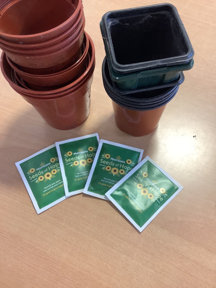 I’m looking forward to the Young Carers group today. We’re focusing on Spring and Nurture. Thanks to <a href="/Morrisons/">Morrisons</a> for the 🌻🌻🌻 
#seedsofhope #nurture #wearefhs