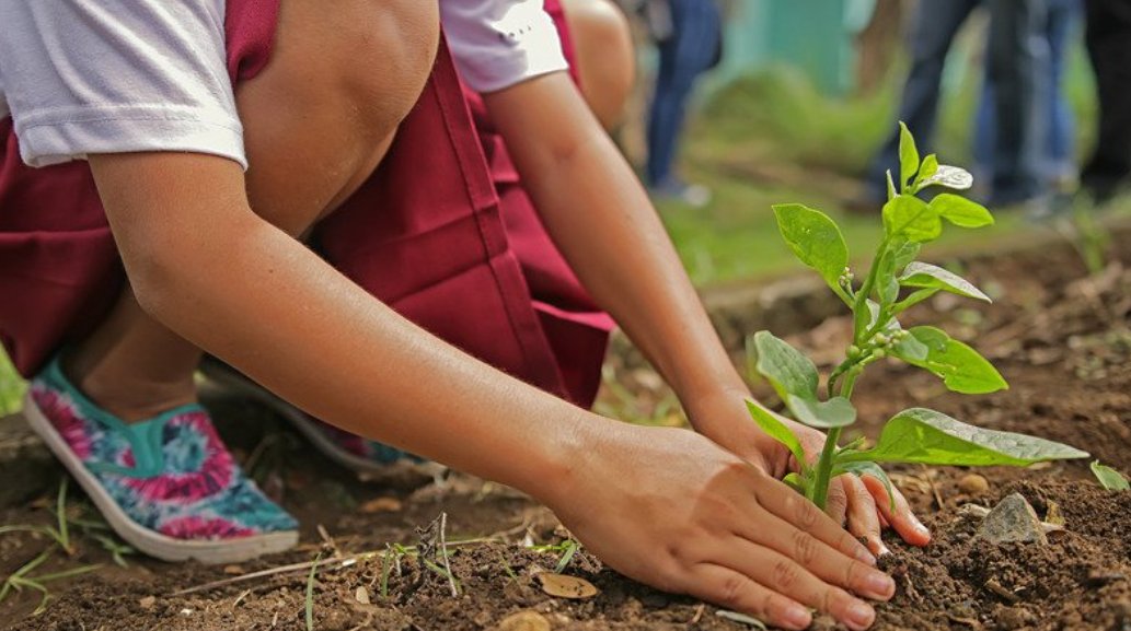 (3/5)That’s why, across the UK, schools are declaring their aim to be  #zerocarbon by 2030 with  #LetsGoZero. Students, teachers and parents are taking a positive step on a local level to help combat the climate issues we all face globally.