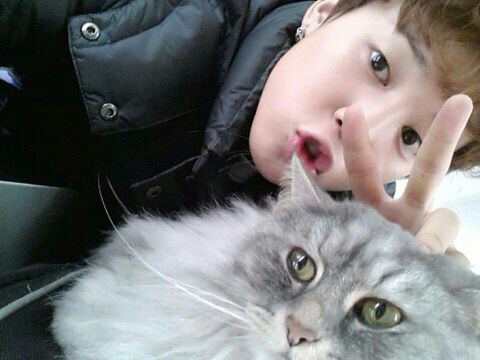 This was taehyung cat ig(?)