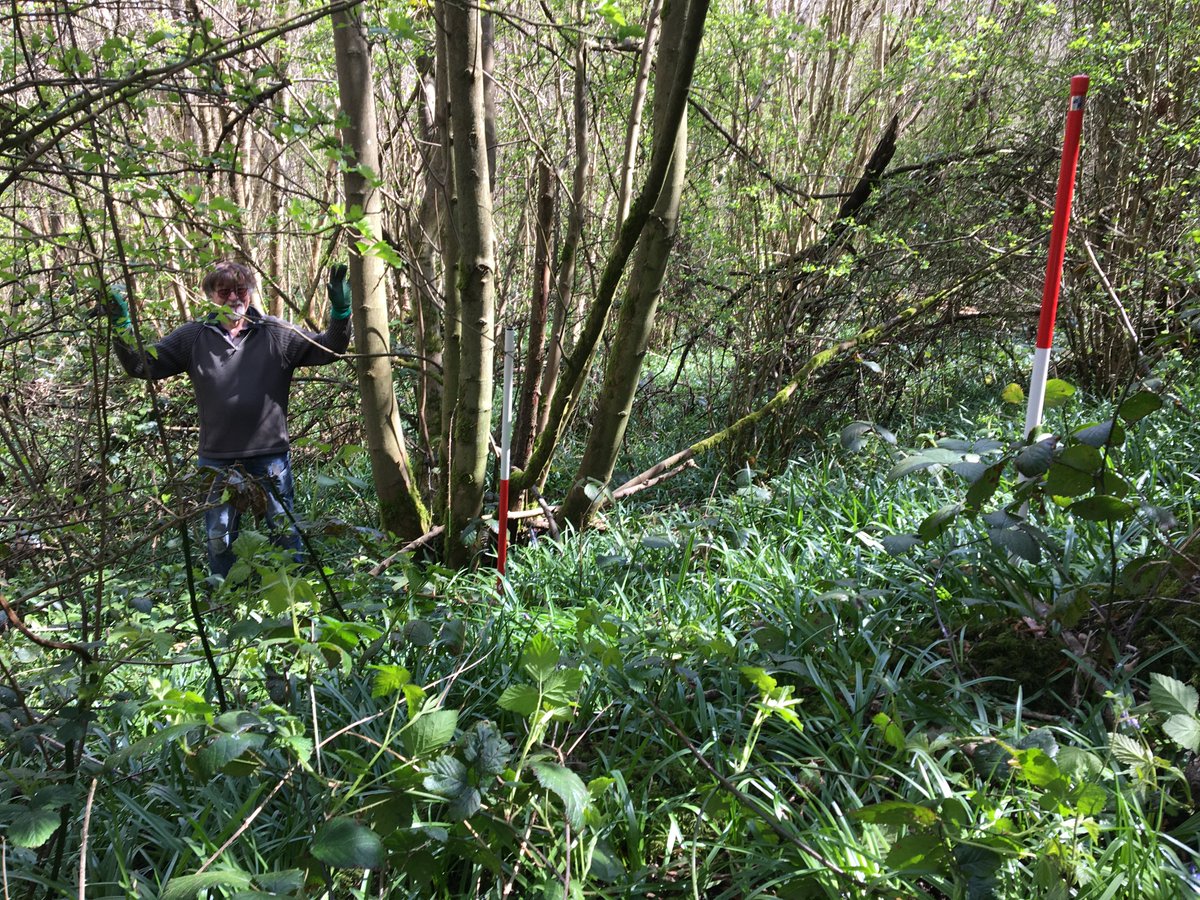 Anne Sassin tweet media