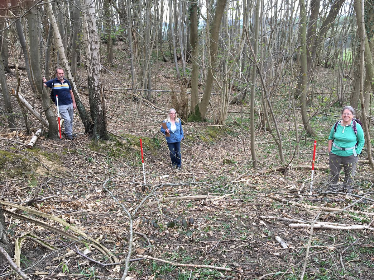 Anne Sassin tweet media