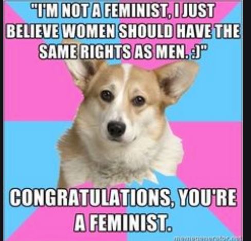 Lots of great content on gender and feminism. (They are my students after all.) 17