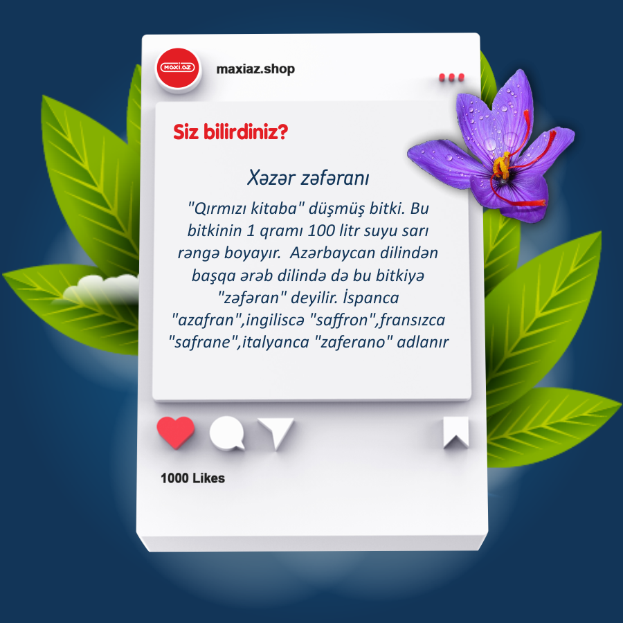 Maxi_az_shop's tweet photo. 2 aprel – Yer Kürəsi günüdür. Doğma planetimizdə dünya şöhrətli Azərbaycan bitkiləri barədə məlumatlar ilə bölüşmək istərdik. Hər biri bir möcüzə! https://t.co/QuMFJMMuLt