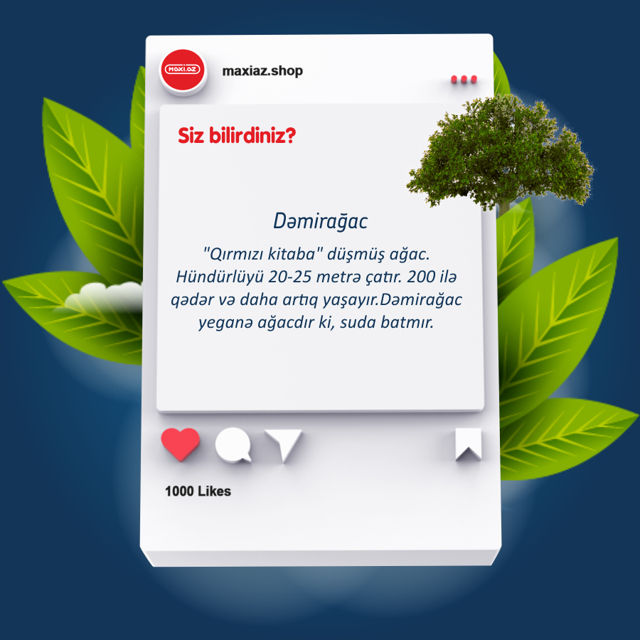 2 aprel – Yer Kürəsi günüdür. Doğma planetimizdə dünya şöhrətli Azərbaycan bitkiləri barədə məlumatlar ilə bölüşmək istərdik. Hər biri bir möcüzə!