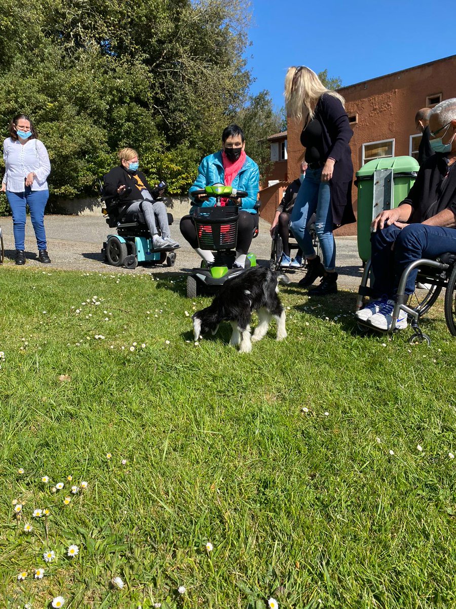CVerdaich's tweet image. [#VotreVerdaich] 2 nouvelles résidentes ont rejoint jeudi le parc de la clinique ! Pour le plus grand bonheur des patients et des équipes, nous avons pu créer un moment de partage au coeur de la nature à l’occasion de leur arrivée. 
Avez-vous pu les admirer ?

#sante #medecine