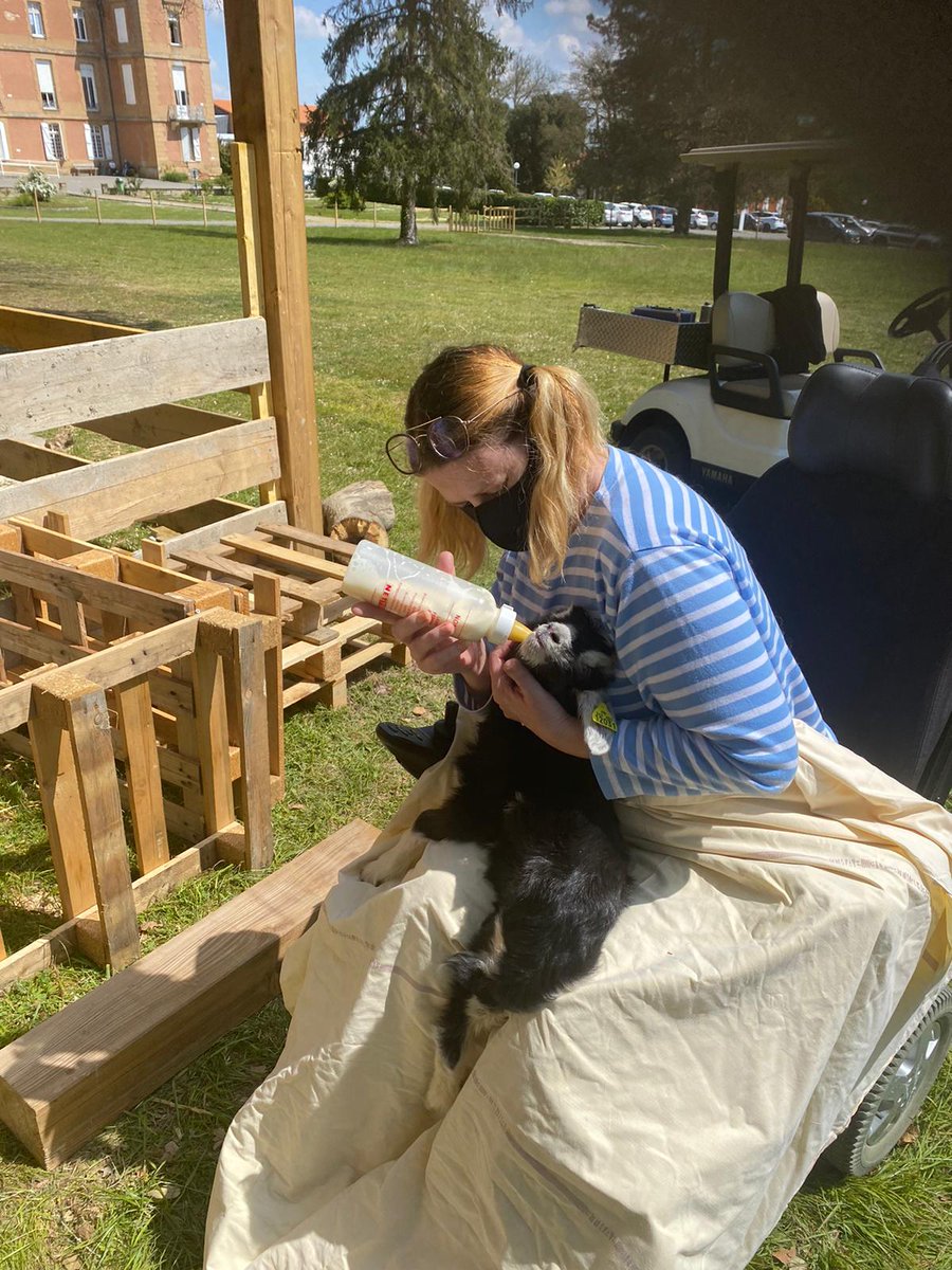 CVerdaich's tweet image. [#VotreVerdaich] 2 nouvelles résidentes ont rejoint jeudi le parc de la clinique ! Pour le plus grand bonheur des patients et des équipes, nous avons pu créer un moment de partage au coeur de la nature à l’occasion de leur arrivée. 
Avez-vous pu les admirer ?

#sante #medecine