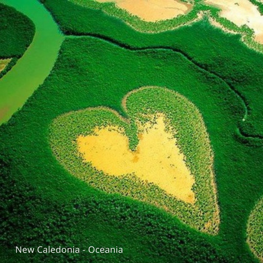 POPSICASE tweet media