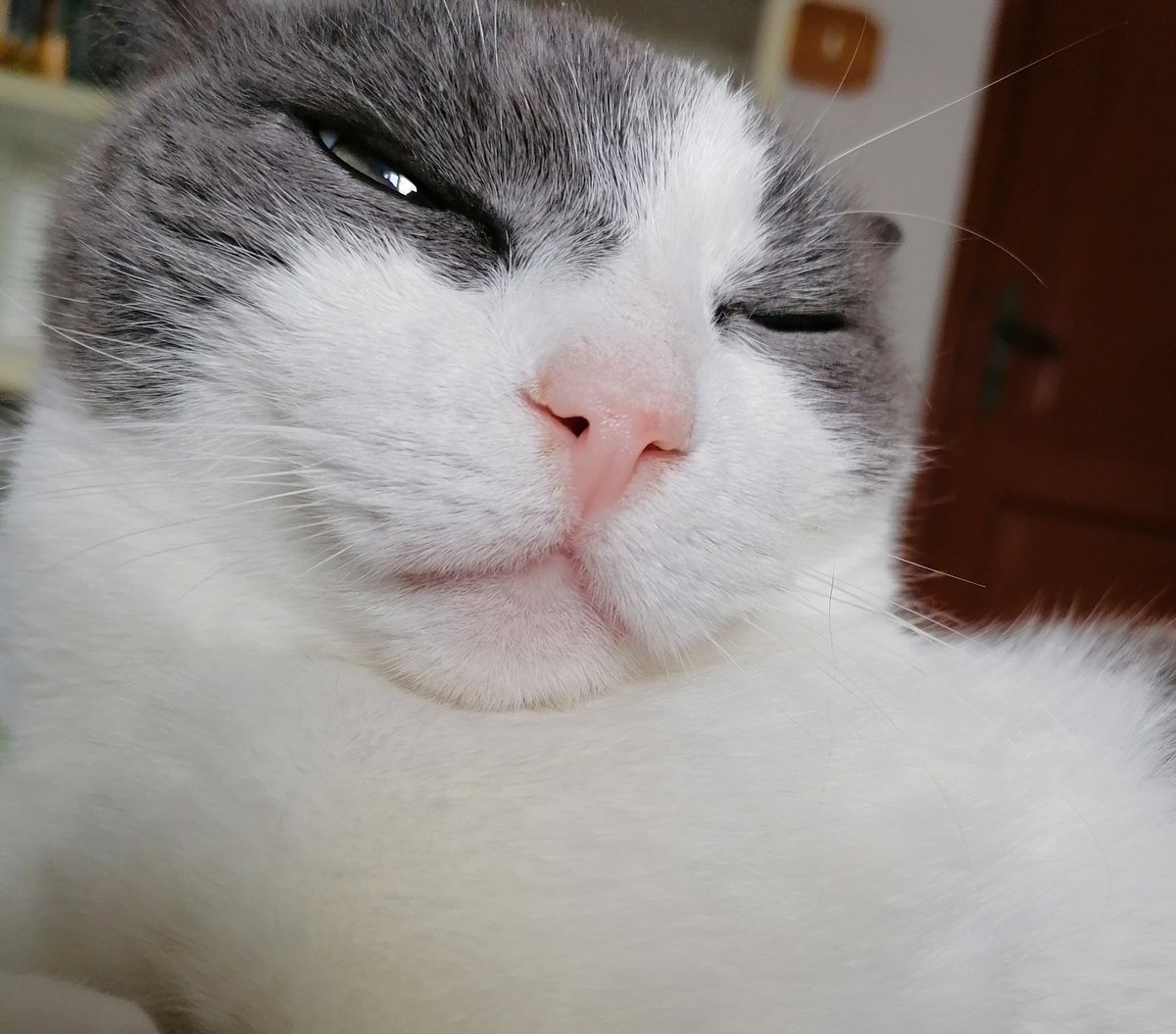 sideshowLukeP's tweet image. Pathetic.