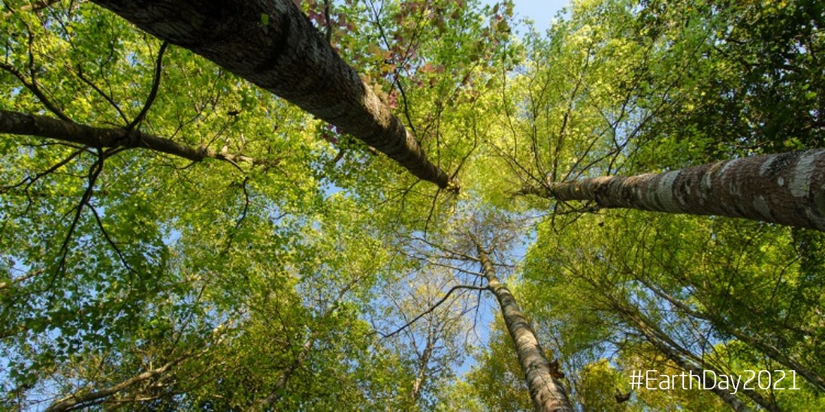 This Earth Day, lets rejuvenate, revitalise and renew our commitment to making our planet a greener and sustainable place for life to thrive #EarthDay2021