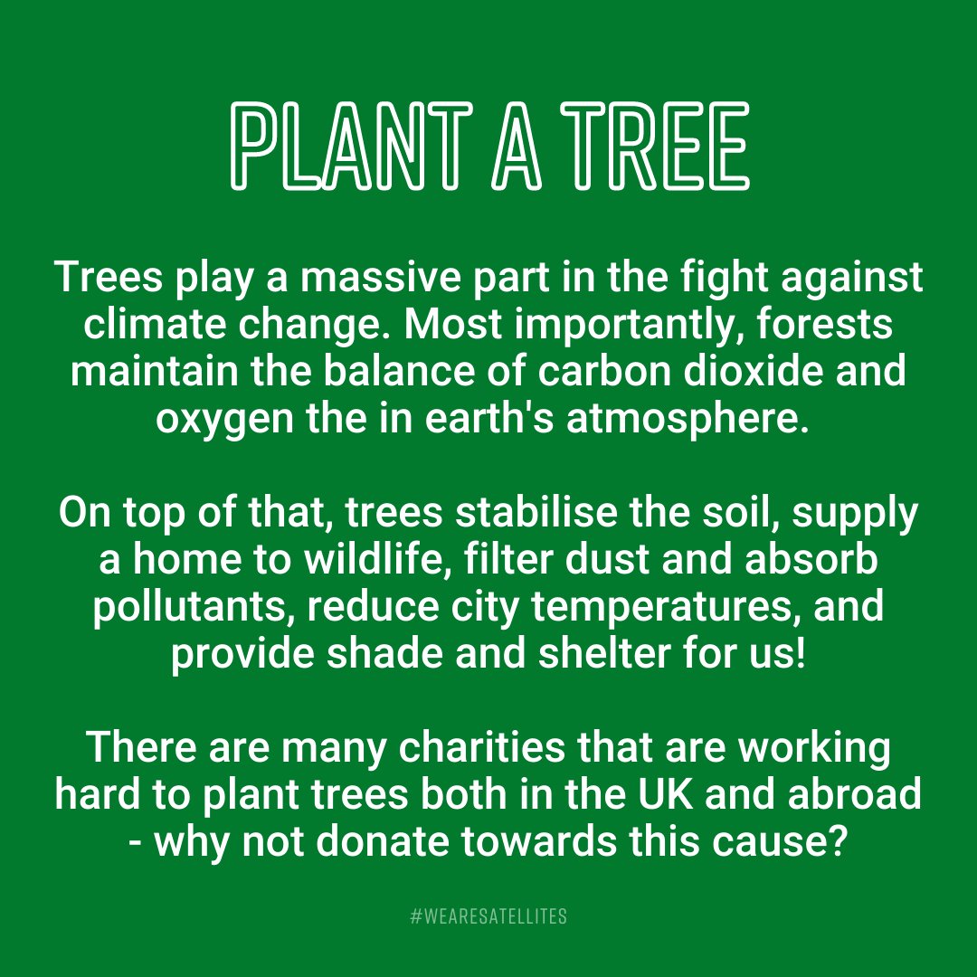 1. Plant a tree  #WeAreSatellites #EarthDay  