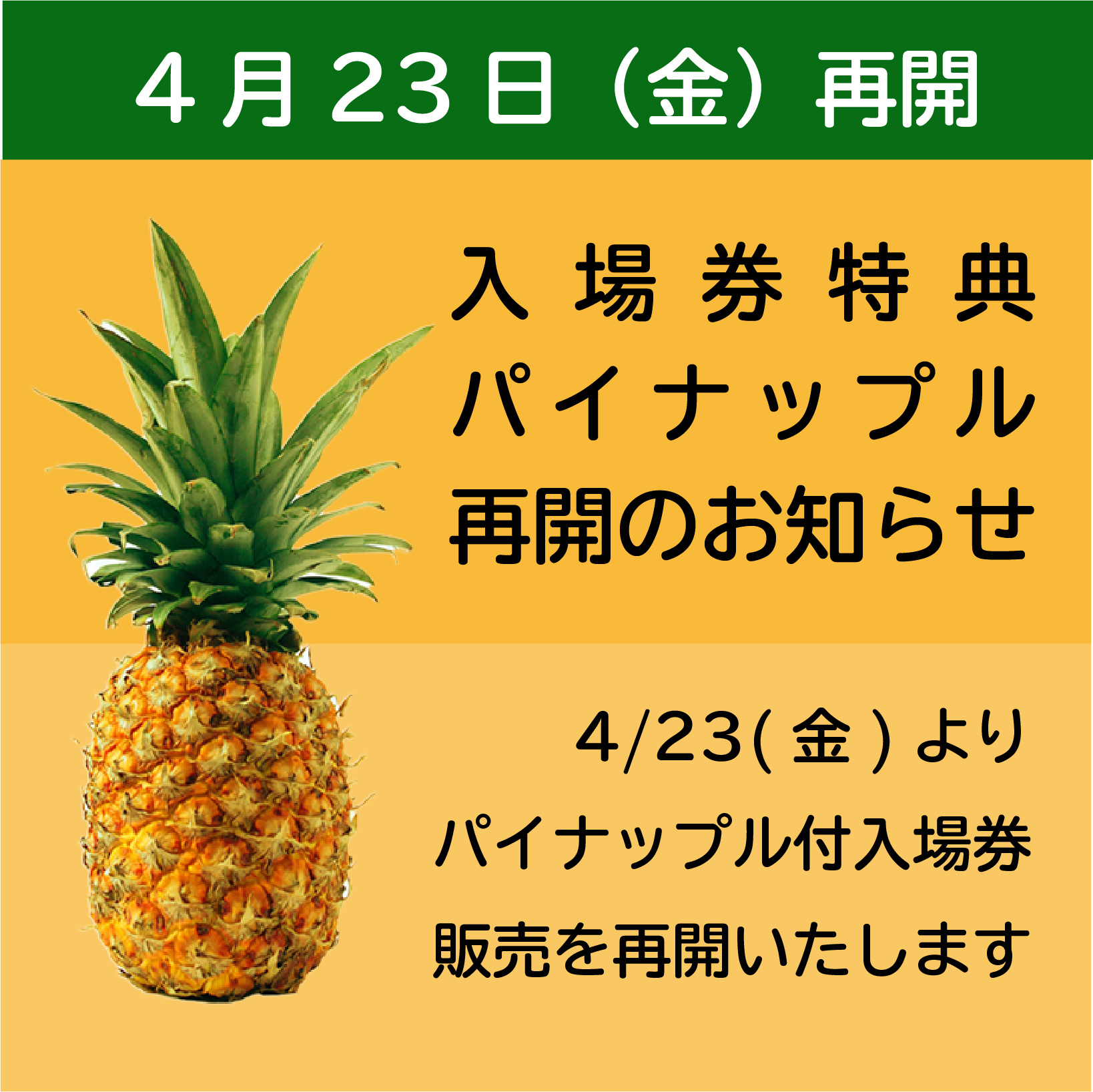 台湾祭 パイナップル付入場券の販売再開 お待たせ致しました 品切れとなっておりました 台湾パイナップル付き入場券の 販売を4月23日 金 より再開致します 23日 金 11 00のオープンよりご用意して皆様をお待ちしております 台湾祭 東京タワー