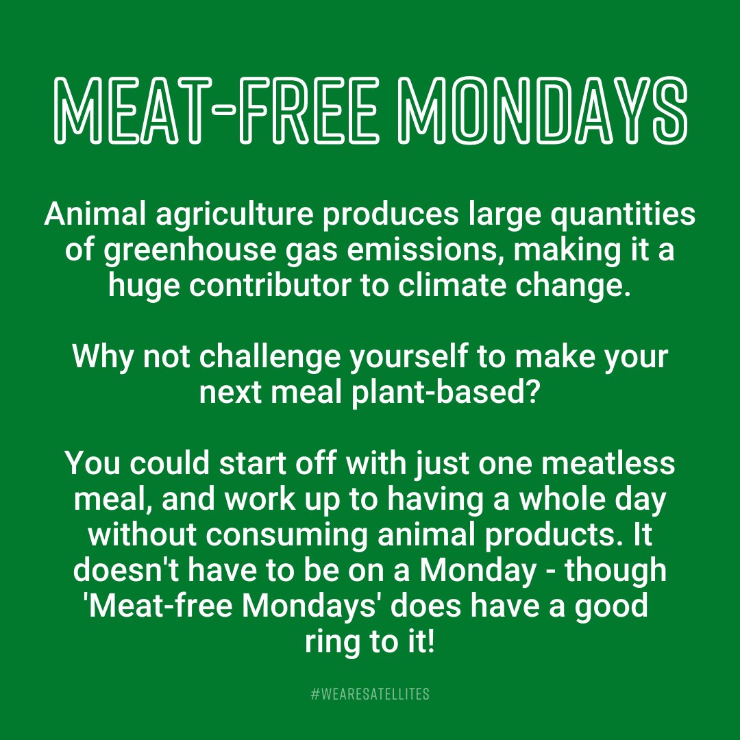 4. Meat-free Mondays #WeAreSatellites #EarthDay  
