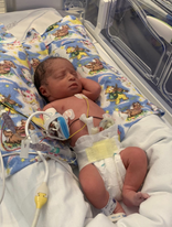 Bliss Baby Charity tweet media
