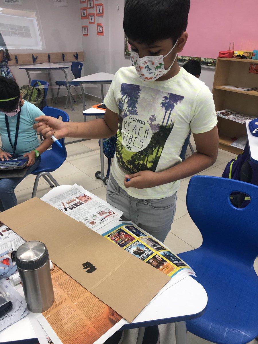 sumna rizvi tweet media