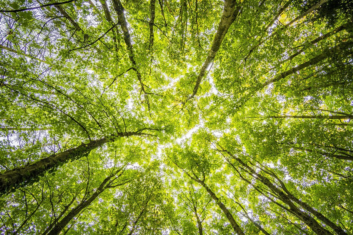 Psychology at Kent (@kentpsychology) on Twitter photo Study, led by Dr Aleksandra Cichocka shows that nation-based defensiveness is a significant barrier in introducing pro-environmental policies. <a href="/JEnvPsych/">Journal of Environmental Psychology</a>
ow.ly/yKXl50Esb7x
#greenwashing
#environment
#climate
#earthday2021 Study, led by Dr Aleksandra Cichocka shows that nation-based defensiveness is a significant barrier in introducing pro-environmental policies. <a href="/JEnvPsych/">Journal of Environmental Psychology</a>
ow.ly/yKXl50Esb7x
#greenwashing
#environment
#climate
#earthday2021
