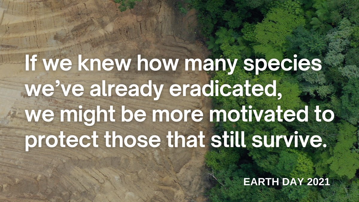 Yuval Noah Harari tweet media