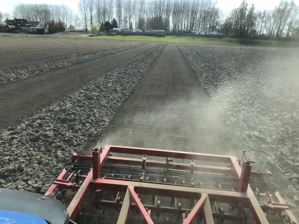 kees vermue tweet media