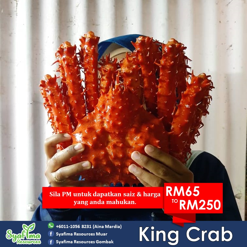 Orang Muo Johor cari seafood boleh PM saya. Follow thread ni untuk harga & list seafood yang saya jual  Tolong RT untuk rezeki saya & keluarga. COD area: Muar, Bakri, Air Hitam, Bukit Naning, Parit Sulong, Semerah, Pt Yusof, Pt Jawa.