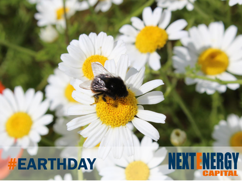 NextEnergy Capital tweet media