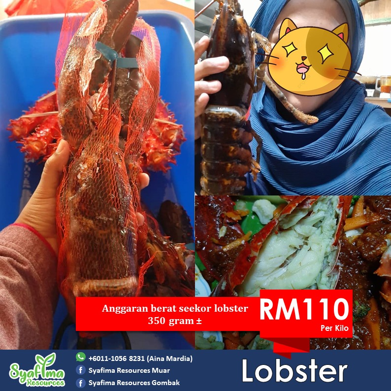 Lobster ni paling I recommend. Manis beb isi dia.