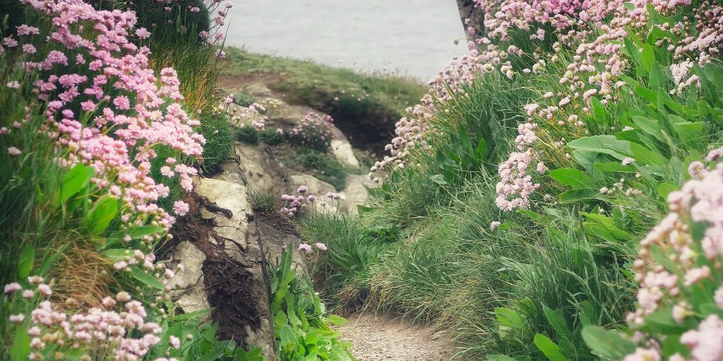 Happy #EarthDay🌎 let's celebrate the planet that we share by making 1 change to our boating habits:
🛢️ Add an oil drip tray under your engine
🚽Use a closed toilet system
🧴Use non-toxic cleaning products
⚓Anchor with care

Find more tips: rya.org/Jmsm50EuT5C
📷George Hiles