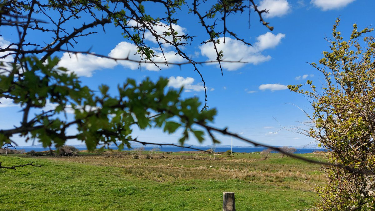 TawnylustLodge's tweet photo. Happy #EarthDay Why not take an #ecobreak this year in #Leitrim and reduce your #carbonfootprint Stay in an #eco apartment and spend time in #nature Check out our #staycation packages on https://t.co/pc0zV4v2jJ https://t.co/jbWNwPXqez