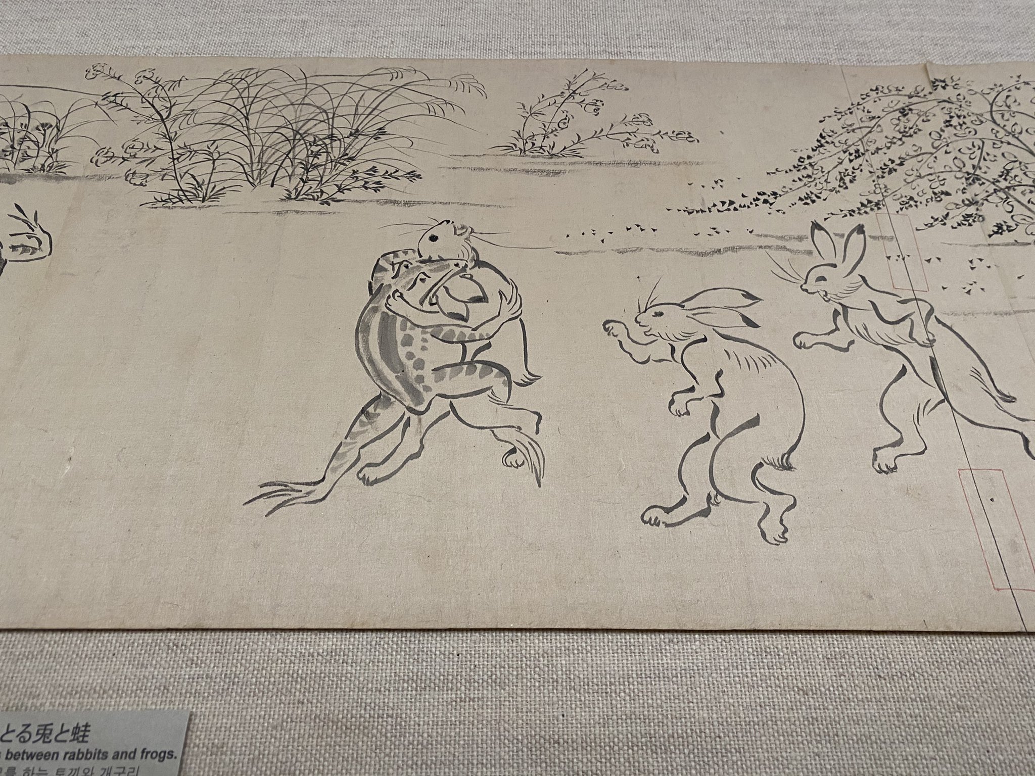はろるど なお東京国立博物館の本館では 鳥獣戯画展スピンオフ と題し 鳥獣戯画の明治時代の模本や絵巻に登場する動物のモチーフに関した作品を展示 これらは撮影okでした T Co Uozh1ip6ja Twitter