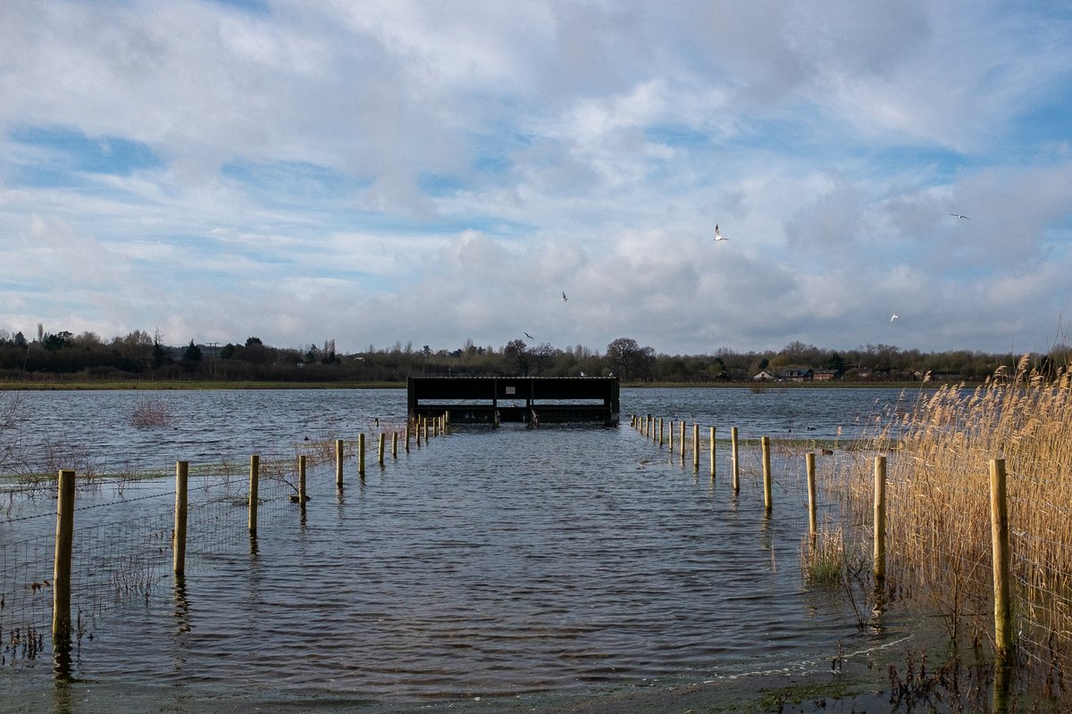 The water levels rise and fall by up to 5m a year (66-71m), flooding ponds and paths and providing flood plain catchment for the River Blackwater as well as run off from the surrounding hills and A31 and A331 roads.  #SaveTicesMeadow  #EarthDay  