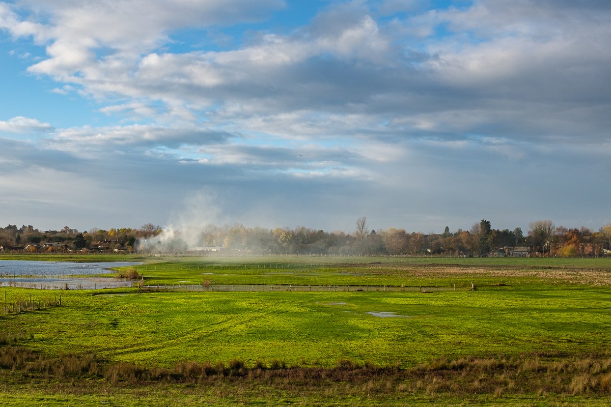 The water levels rise and fall by up to 5m a year (66-71m), flooding ponds and paths and providing flood plain catchment for the River Blackwater as well as run off from the surrounding hills and A31 and A331 roads.  #SaveTicesMeadow  #EarthDay  