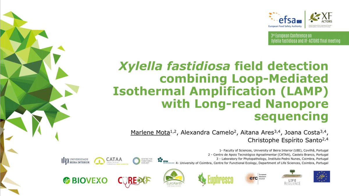 Plants_EFSA's tweet image. What about developing a
simple
accurate
sensitive
real time
#DetectionTool based on #LAMP + #OxfordNanoporeTechnology
to check for #Xylella presence in field conditions?
#xylella21posters : find the poster there➡️doi.org/10.5281/zenodo…
then ask more here⬇️
#MLST
#MinIONMk1C