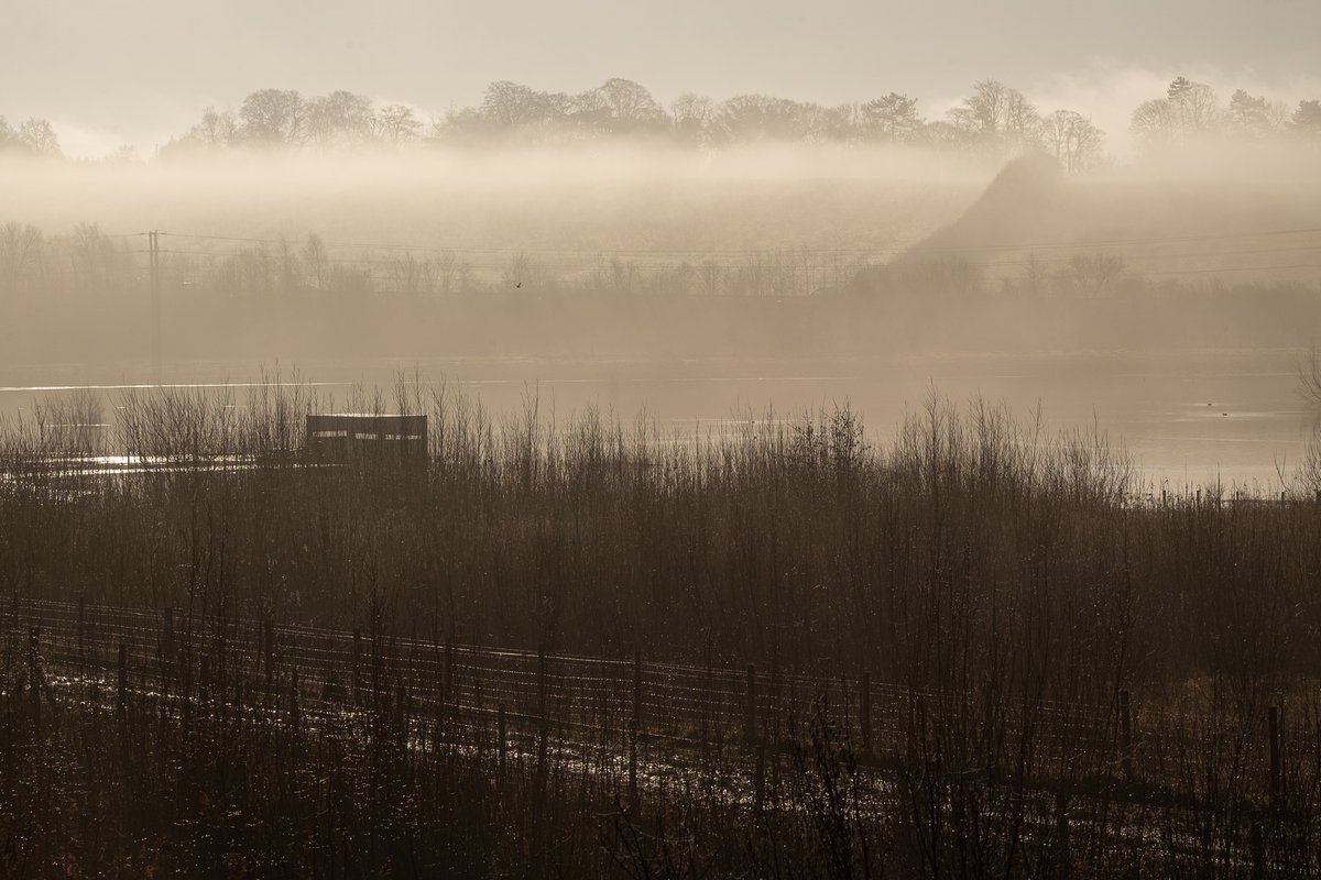 However, the site is at risk. It has been put up for sale on the open market by the quarry owners, Hanson Aggregates. The site is listed as an Asset of Community Value, and as such the community has a "right to buy" window to raise funds for a bid.  #SaveTicesMeadow  #EarthDay  