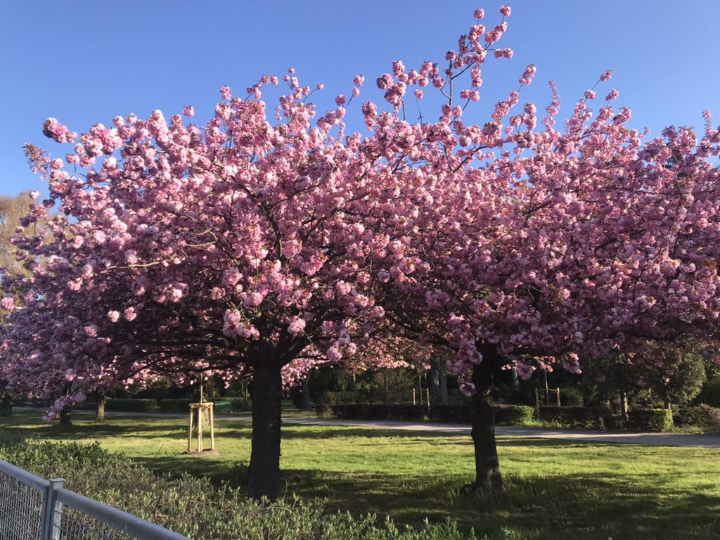 Today is #EarthDay - a good day to look around and appreciate the most important stakeholder in the global room: our #PlanetEarth - our #environment!! Think about what you can do to make a difference...even the little things count! #ClimateAction #RestoreOurEarth #publicvalue