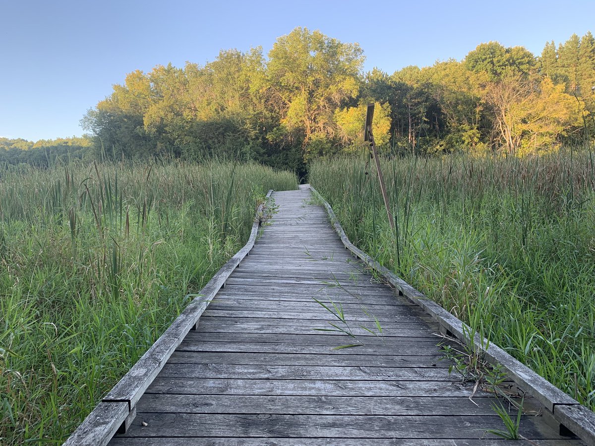 SiannyAllen's tweet photo. @CampAmerica69 There are so many pictures to choose from but the boardwalk will always be my favourite @CampIhduhapi https://t.co/hUjjN6jmj6