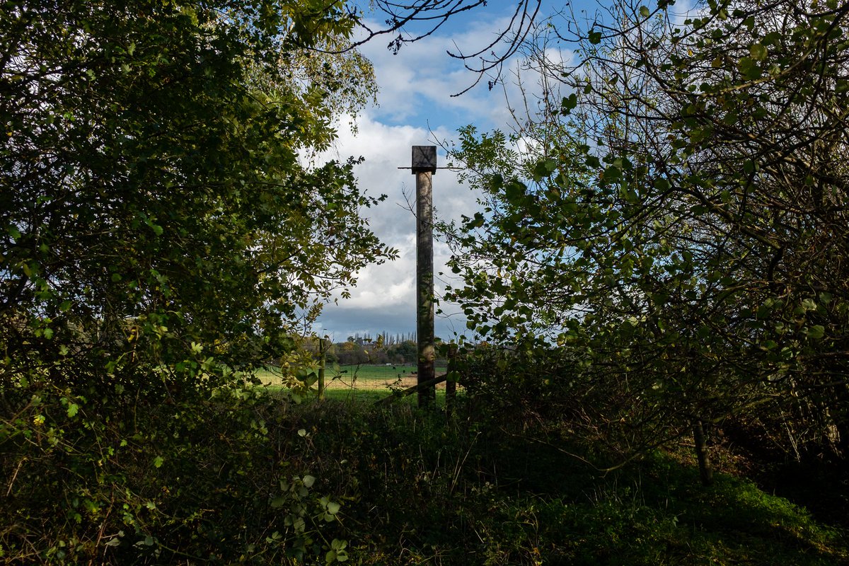 Kestrel box. The volunteer group have been responsible for  @TicesMeadow infrastructure, inc fences, bird boxes, signs & more. That amounts to ~13K volunteer hrs at >£130K over 4 yrs (figures: Heritage Lottery calculations by Tice’s Meadow Bird Group).  #SaveTicesMeadow  #EarthDay  